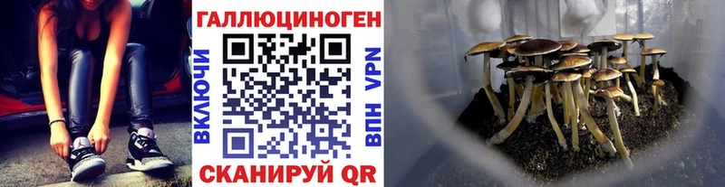 мега как войти  Ардатов  Галлюциногенные грибы GOLDEN TEACHER 